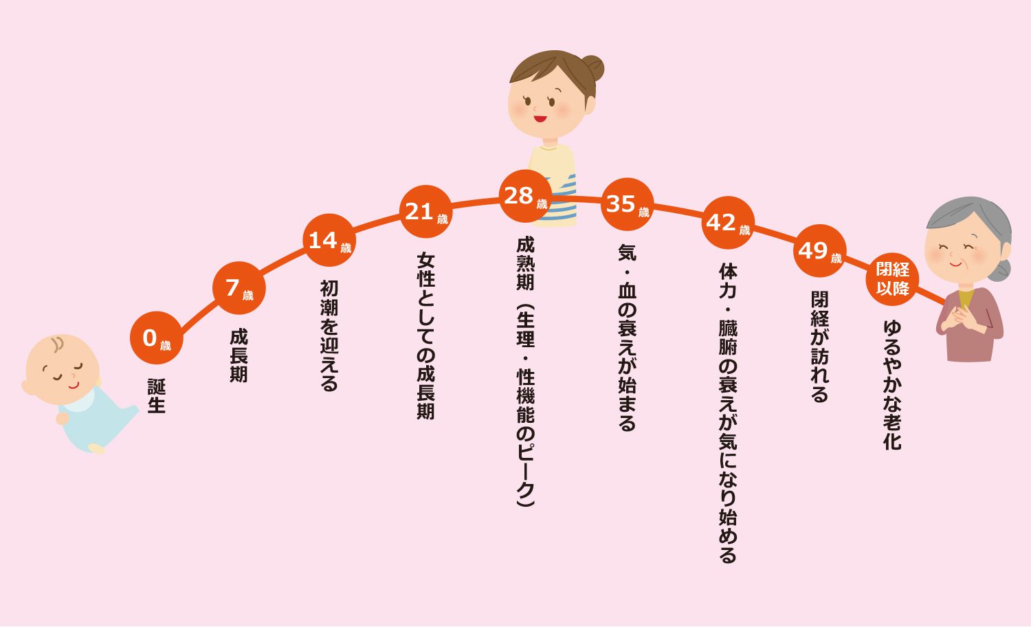 女性のからだは7の倍数で変化 不妊（周期調節法）について 高知県高知市｜漢方相談薬局 かめや薬局